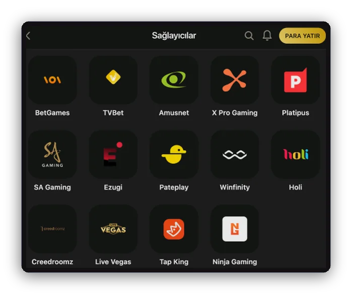 Izgara: BetGames, Amusnet, Ezugi ve Tap King sağlayıcı kutuları