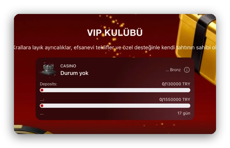VIP ilerleme Ekran: VIP Kulübü seviye ilerleme kartı ve yatırım ilerleme çubuğu