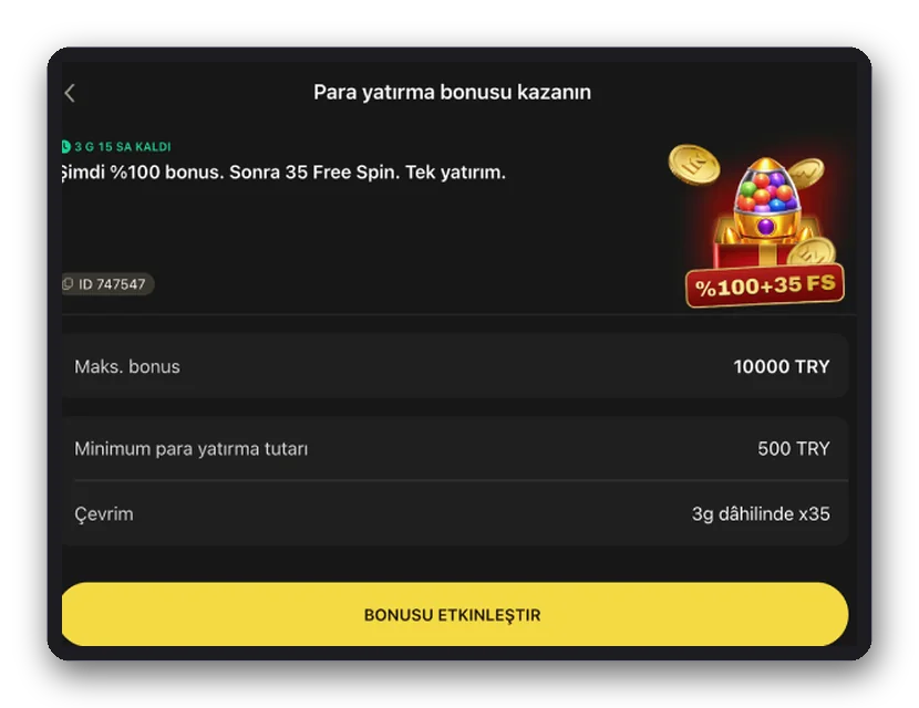 Şartlar kartı Kart: en yüksek bonus, minimum yatırım ve çevrim şartı satırlarını sıralayan yatırım bonusu
